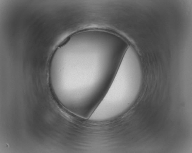 X0000068261367200604210903
