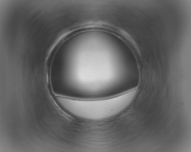 X0000068261368200604210903
