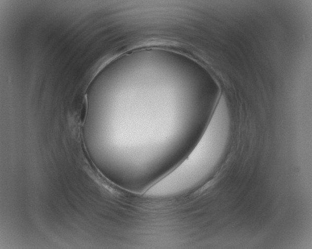X0000068261369200604210903