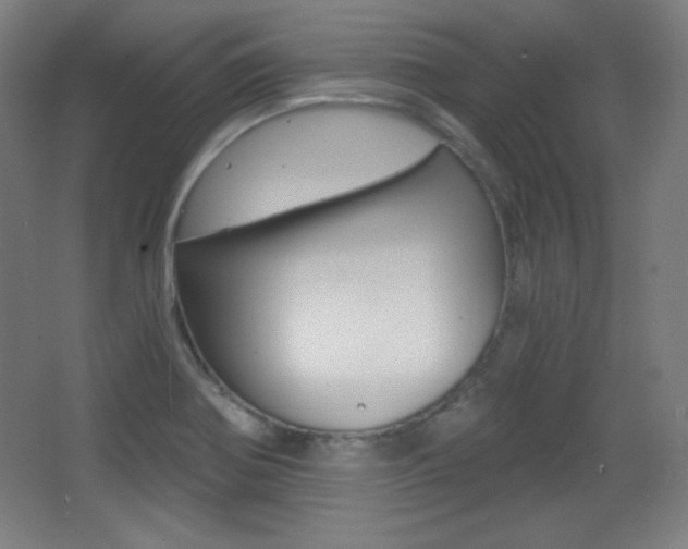 X0000068261370200604210903
