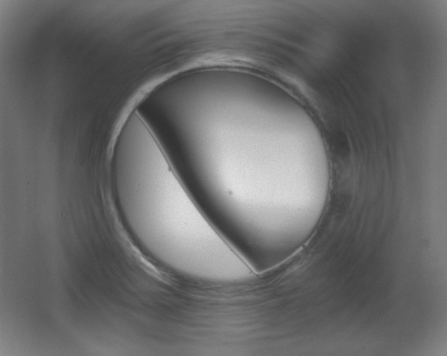 X0000068261371200604210903