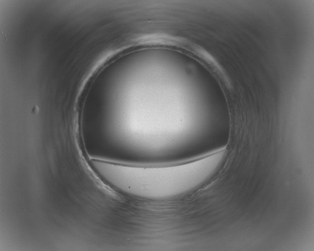 X0000068261376200604210903