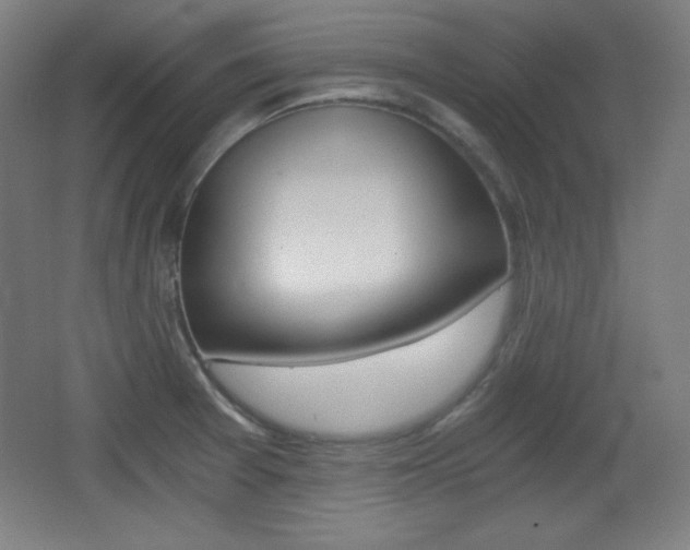 X0000068261377200604210903