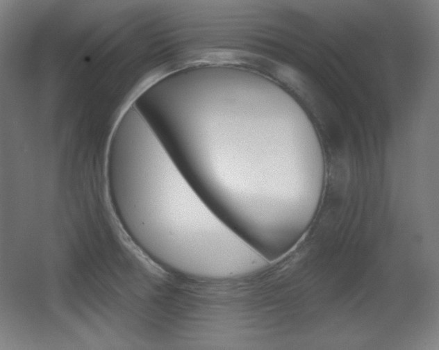 X0000068261378200604210903