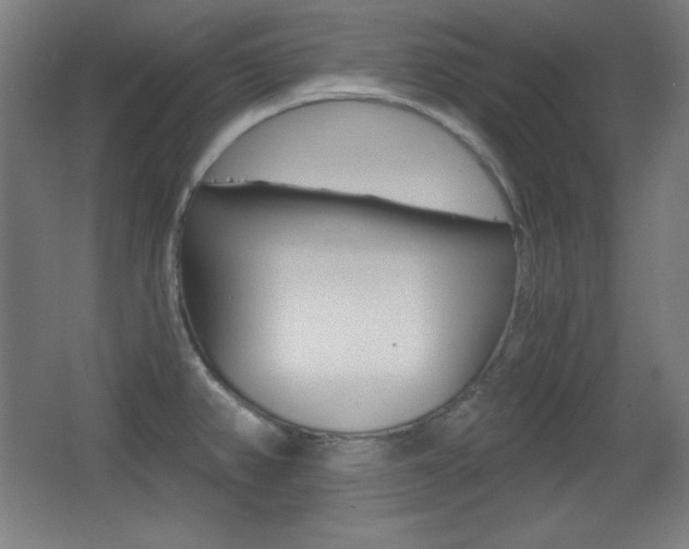 X0000068261382200604210903
