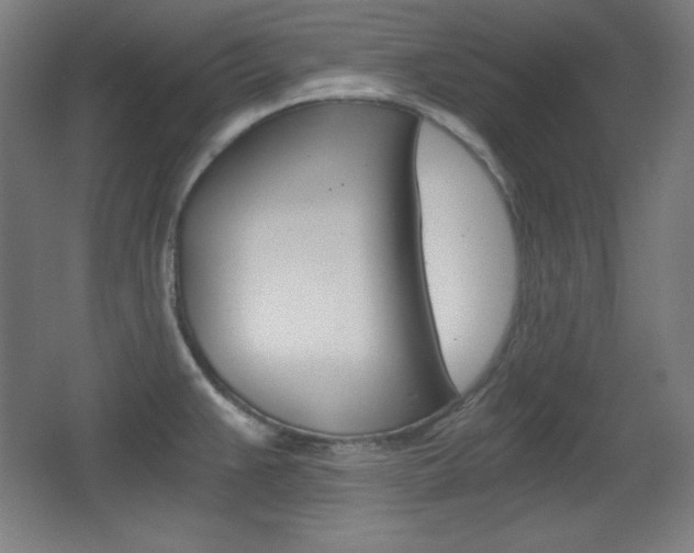 X0000068261383200604210903