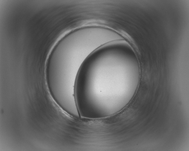 X0000068261384200604210903