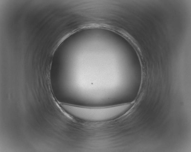 X0000068261385200604210903