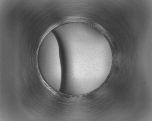 X0000068261386200604210903