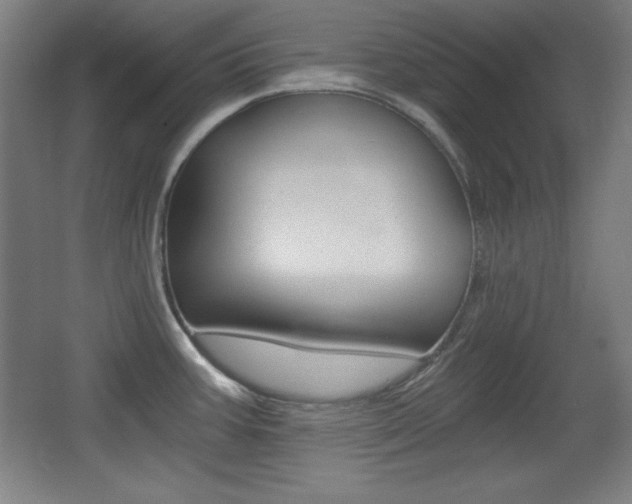 X0000068261387200604210903