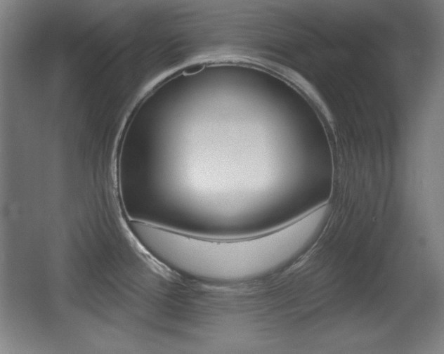 X0000068261388200604210903