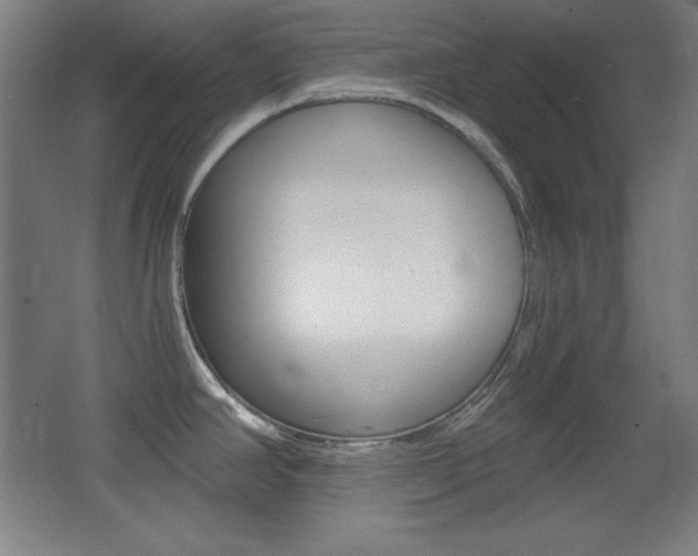 X0000068261390200604210903