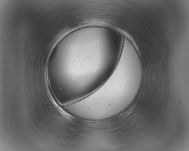 X0000068261391200604210903