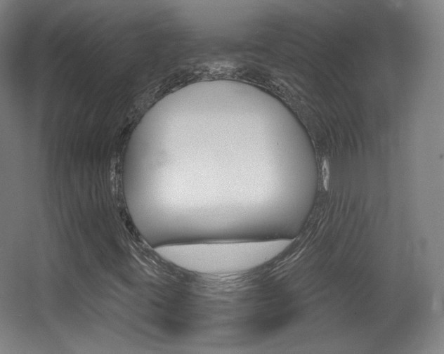 X0000068261395200604210902