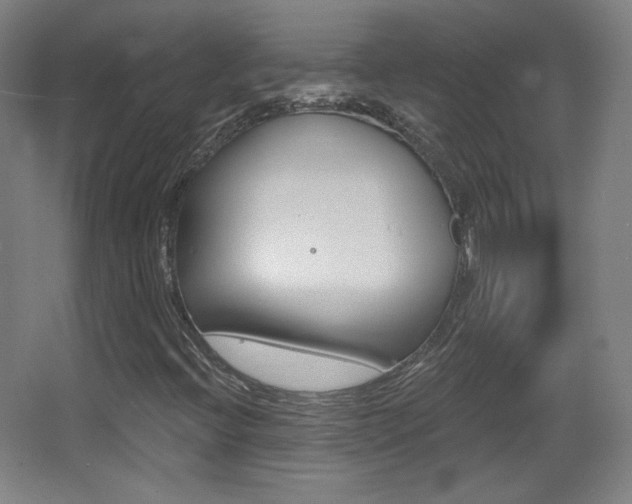 X0000068261396200604210902