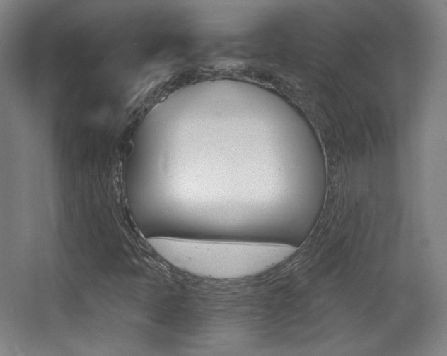 X0000068261397200604210902