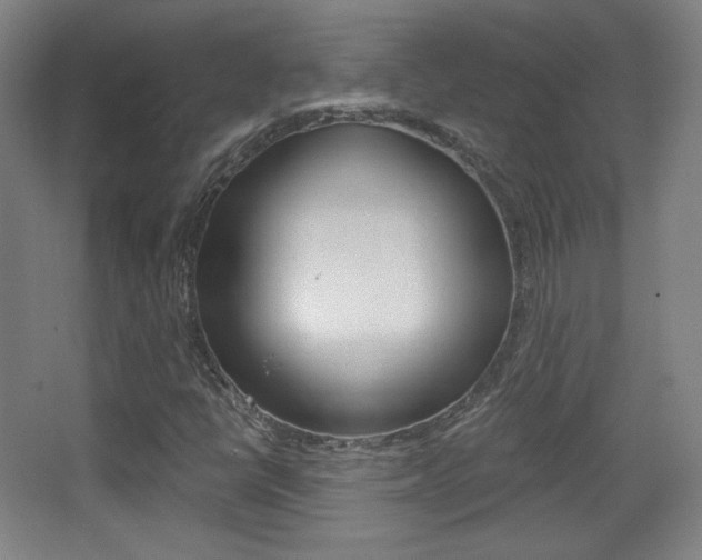 X0000068261398200604210902