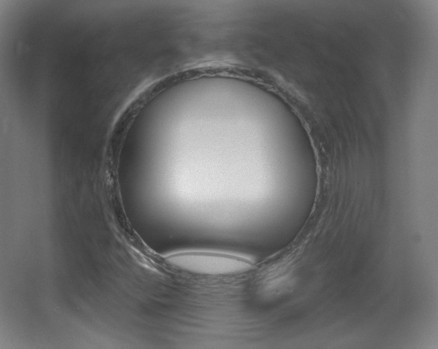 X0000068261400200604210902