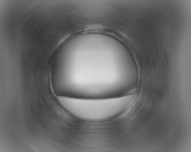 X0000068261401200604210902