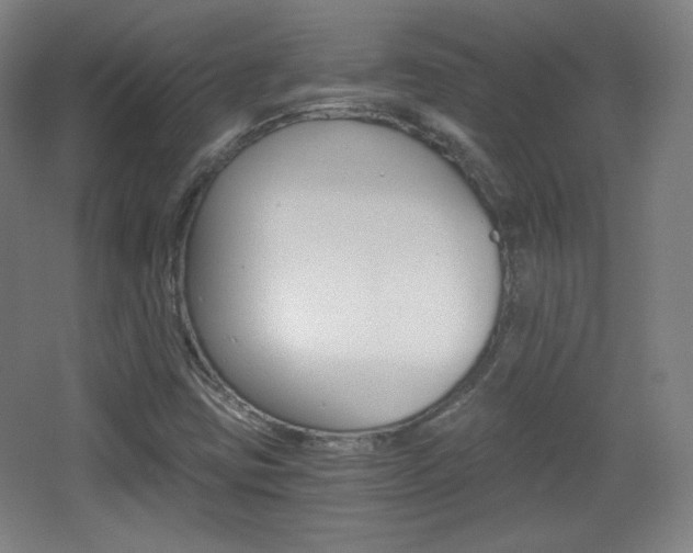 X0000068261403200604210902