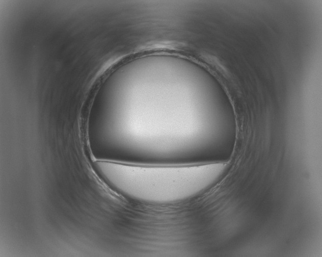 X0000068261404200604210902