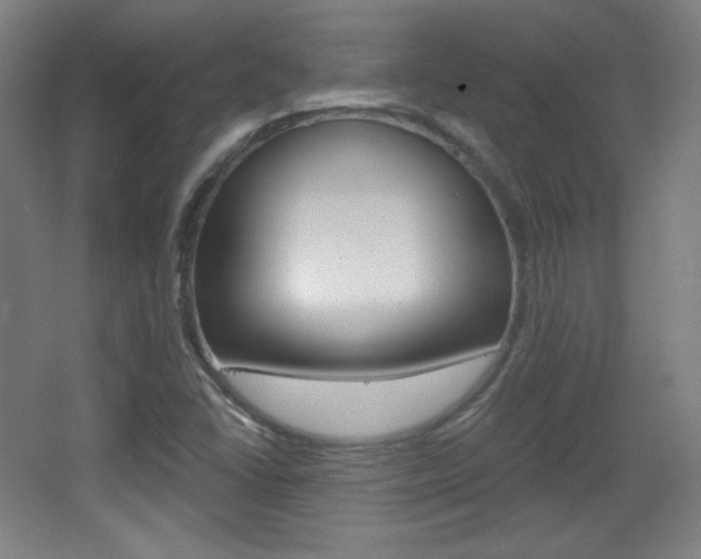 X0000068261406200604210902