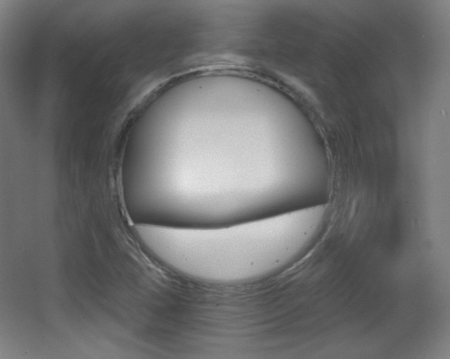 X0000068261407200604210902