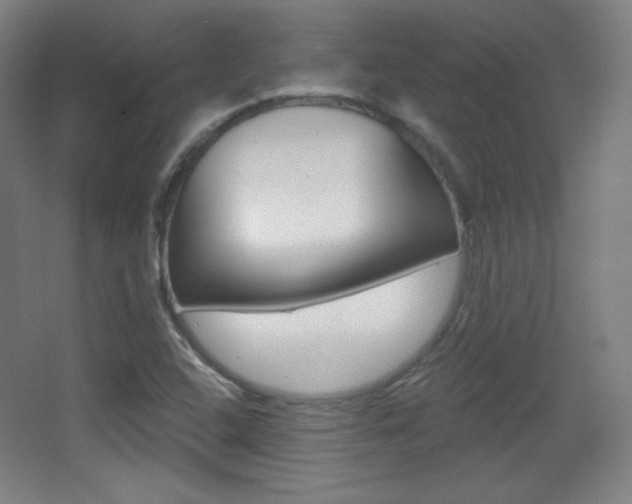 X0000068261408200604210902