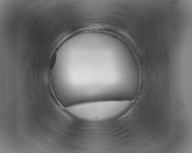 X0000068261409200604210902