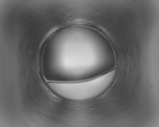 X0000068261410200604210902