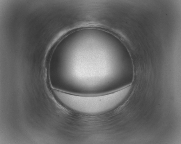 X0000068261414200604210902