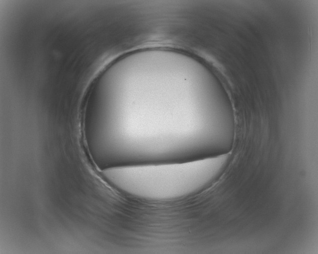 X0000068261415200604210902