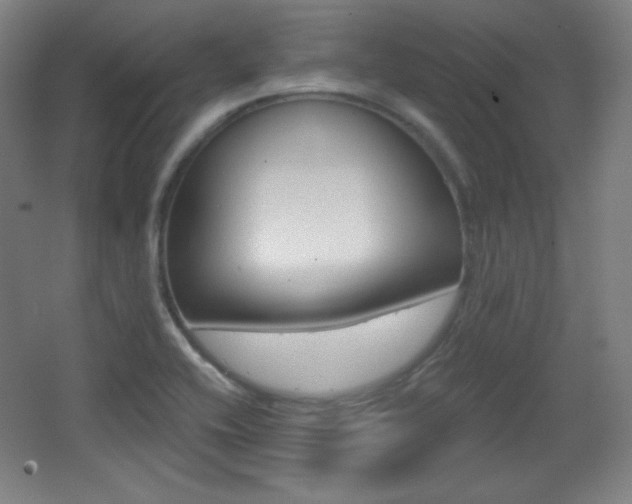 X0000068261416200604210902