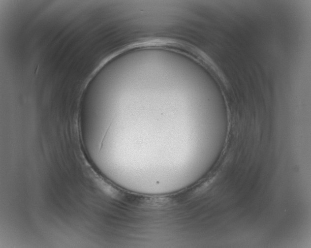 X0000068261417200604210902