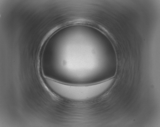 X0000068261418200604210902