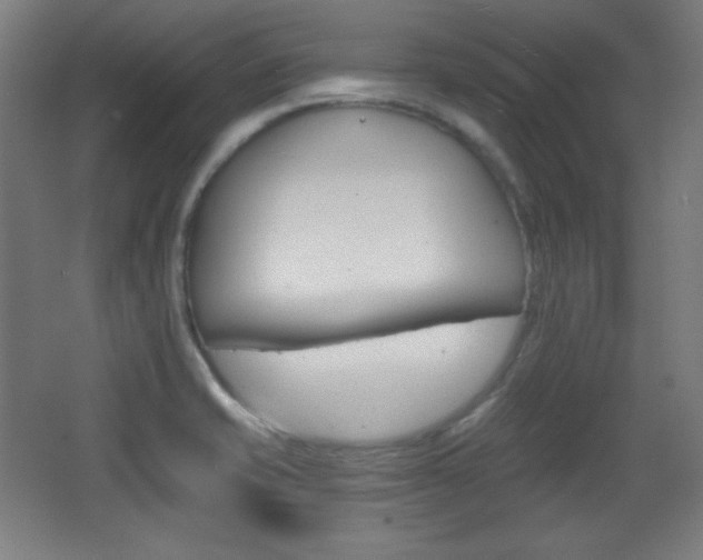 X0000068261421200604210902