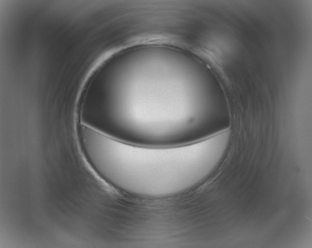 X0000068261424200604210903