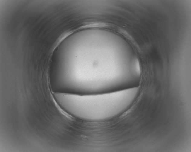 X0000068261425200604210903