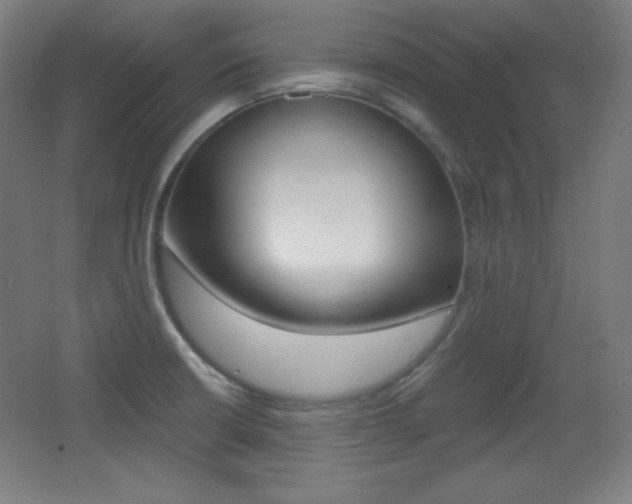 X0000068261426200604210903