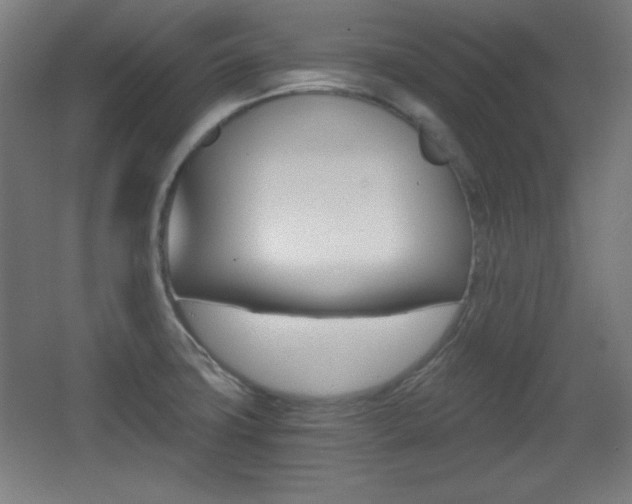 X0000068261427200604210903