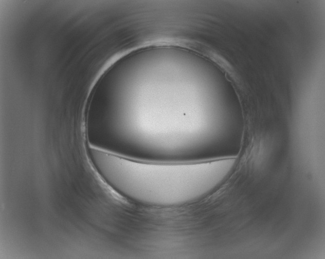 X0000068261428200604210903