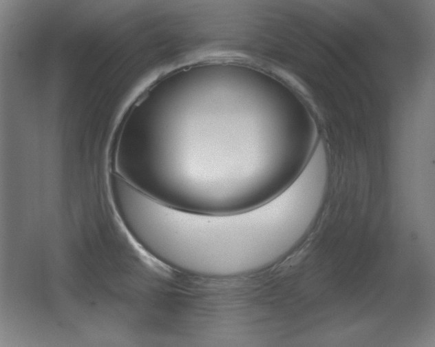 X0000068261430200604210903