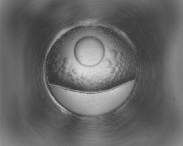 X0000068261432200604210903