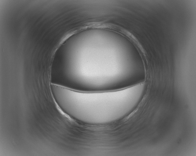X0000068261433200604210903