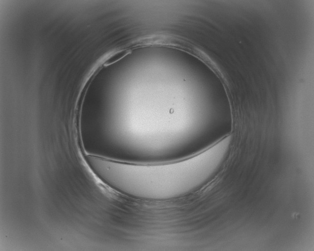 X0000068261434200604210903