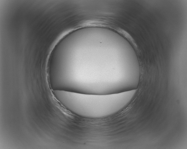 X0000068261435200604210903