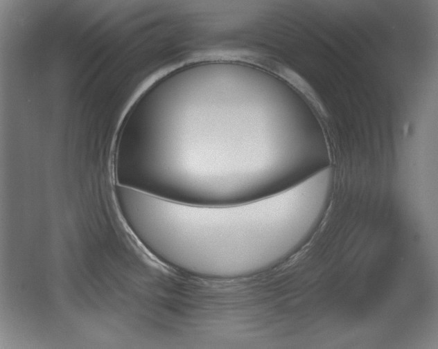 X0000068261436200604210903
