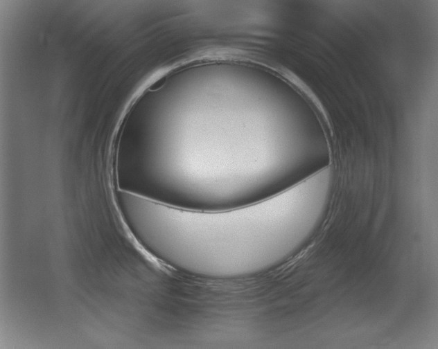 X0000068261437200604210903