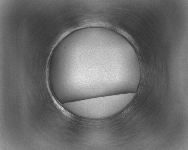 X0000068261439200604210903