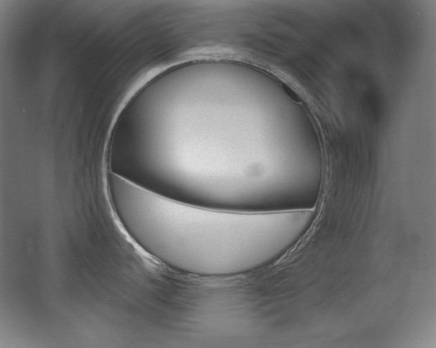X0000068261440200604210903